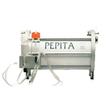 PEPITA （ぺピータ）